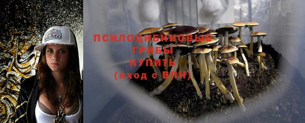 прущая мука Баксан