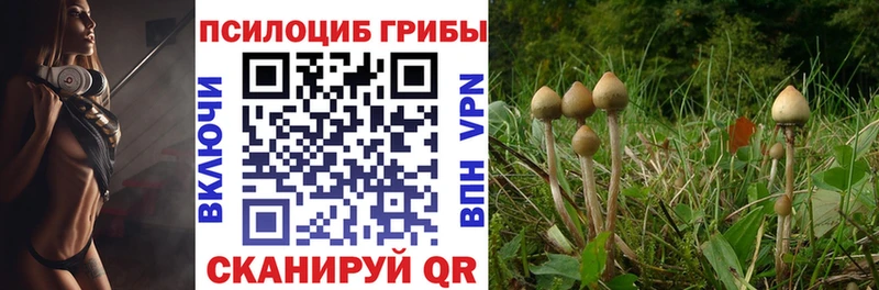Псилоцибиновые грибы GOLDEN TEACHER  купить  сайты  Болхов 